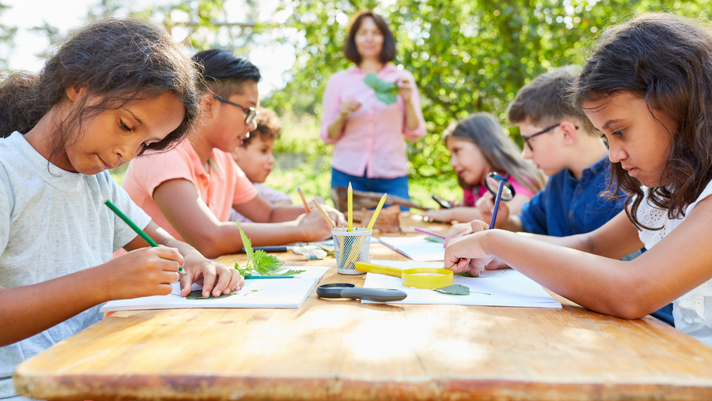 La Protection Des Mineurs Developpement De La Qualite Educative Et