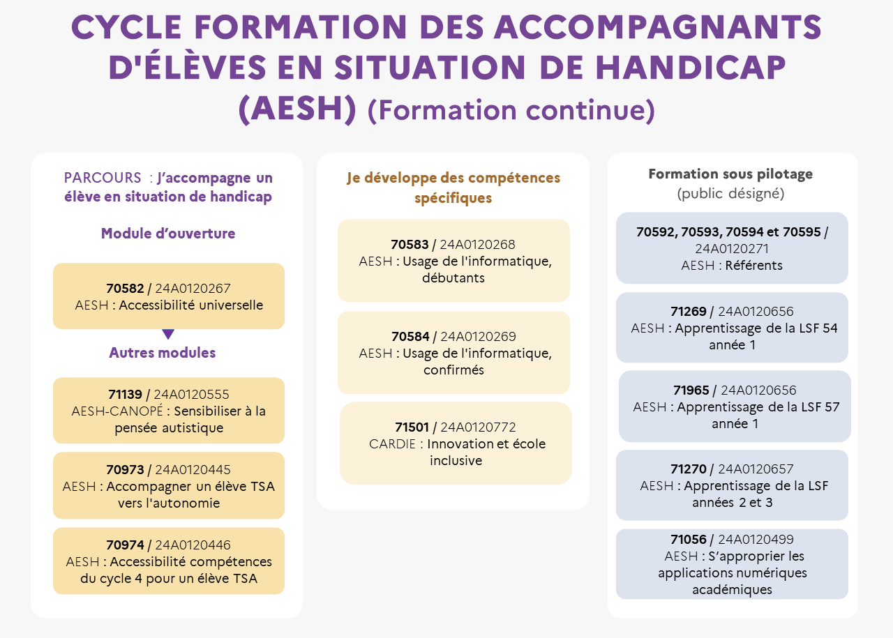 EAFC - Infographie cycle AESH - Formation continue
