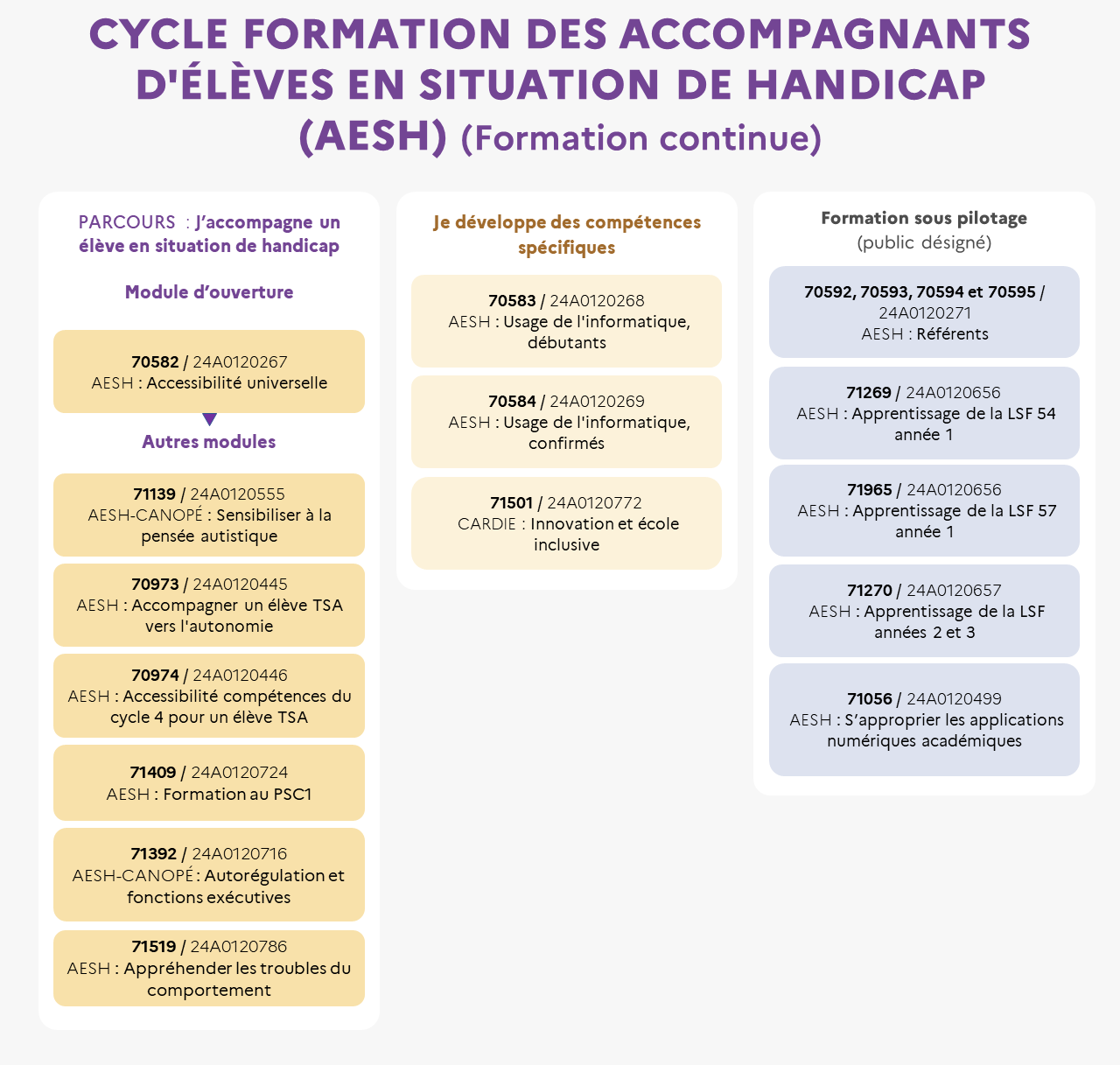 EAFC - Infographie cycle AESH - Formation continue